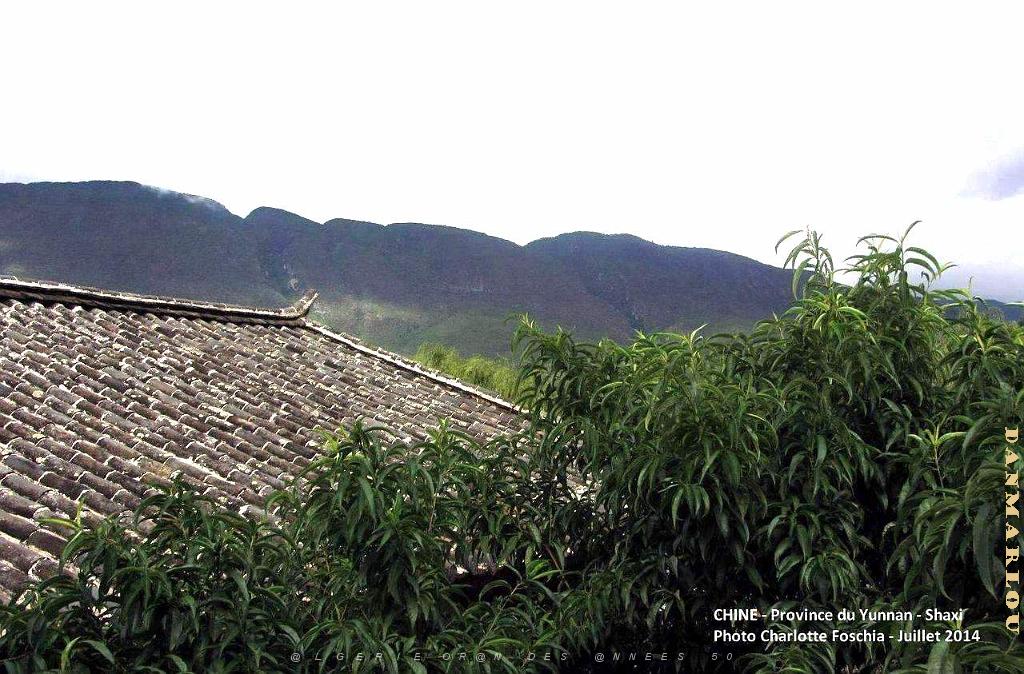 106 - Shaxi.JPG